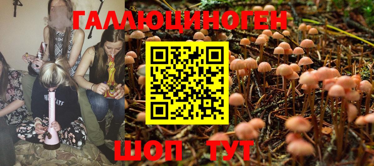 Псилоцибиновые грибы мухоморы  Вход с VPN  Галлюциногенные грибы Psilocybe  купить наркотик  Ростов-на-Дону 